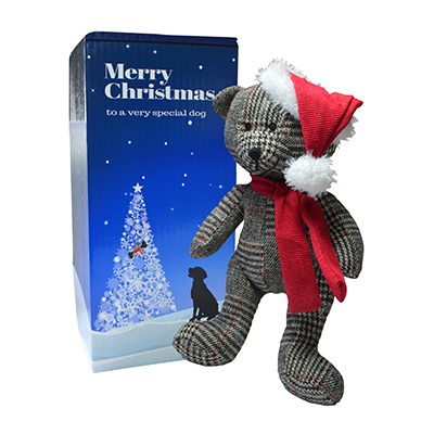 Festive Ted Dog Toy